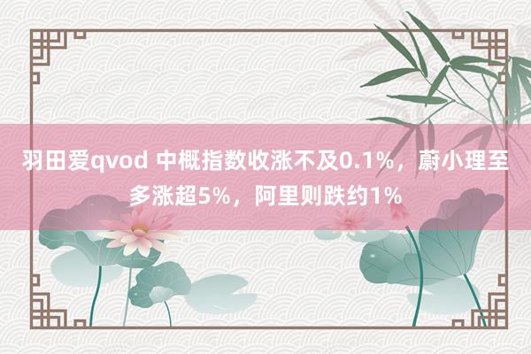 羽田爱qvod 中概指数收涨不及0.1%，蔚小理至多涨超5%，阿里则跌约1%