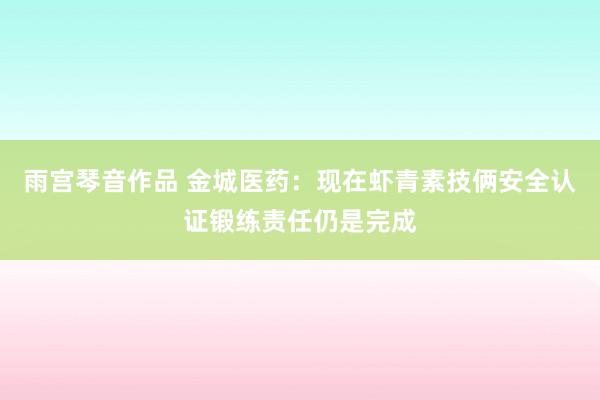 雨宫琴音作品 金城医药：现在虾青素技俩安全认证锻练责任仍是完成