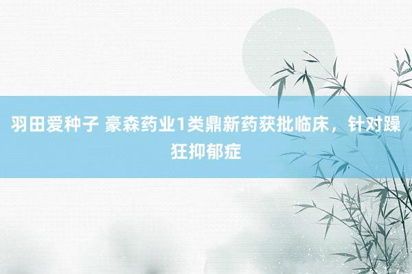 羽田爱种子 豪森药业1类鼎新药获批临床，针对躁狂抑郁症