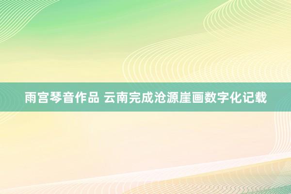 雨宫琴音作品 云南完成沧源崖画数字化记载