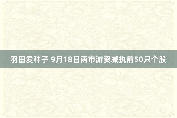 羽田爱种子 9月18日两市游资减执前50只个股