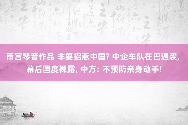 雨宫琴音作品 非要招惹中国? 中企车队在巴遇袭， 幕后国度裸露， 中方: 不预防亲身动手!