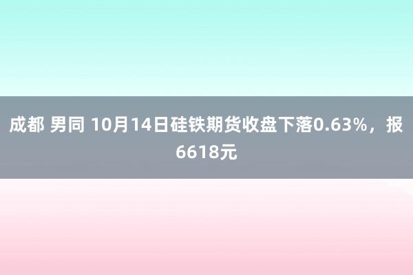 成都 男同 10月14日硅铁期货收盘下落0.63%，报6618元