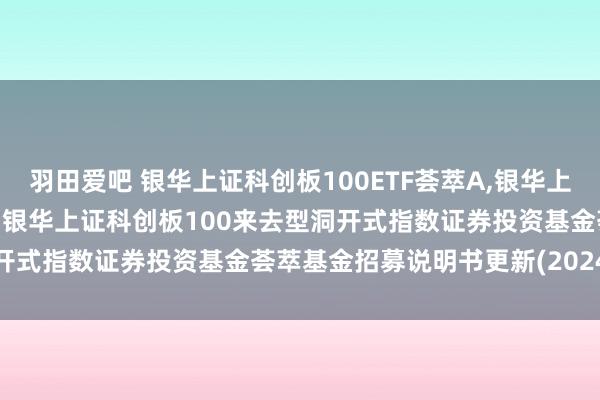 羽田爱吧 银华上证科创板100ETF荟萃A,银华上证科创板100ETF荟萃C: 银华上证科创板100来去型洞开式指数证券投资基金荟萃基金招募说明书更新(2024年第1号)