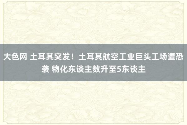 大色网 土耳其突发！土耳其航空工业巨头工场遭恐袭 物化东谈主数升至5东谈主