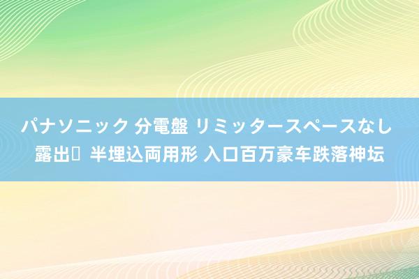 パナソニック 分電盤 リミッタースペースなし 露出・半埋込両用形 入口百万豪车跌落神坛