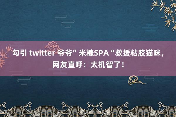 勾引 twitter 爷爷”米糠SPA“救援粘胶猫咪，网友直呼：太机智了！