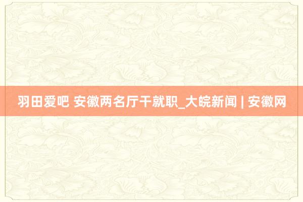 羽田爱吧 安徽两名厅干就职_大皖新闻 | 安徽网