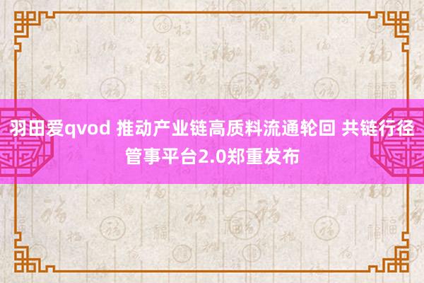 羽田爱qvod 推动产业链高质料流通轮回 共链行径管事平台2.0郑重发布