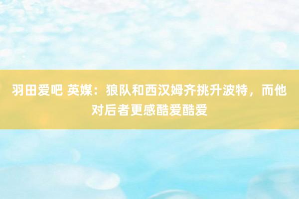 羽田爱吧 英媒：狼队和西汉姆齐挑升波特，而他对后者更感酷爱酷爱