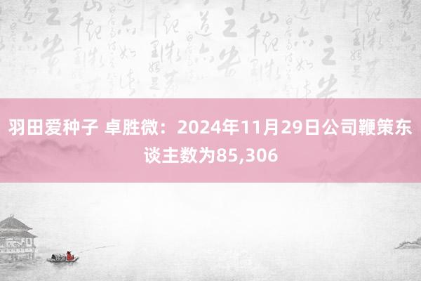羽田爱种子 卓胜微：2024年11月29日公司鞭策东谈主数为85，306