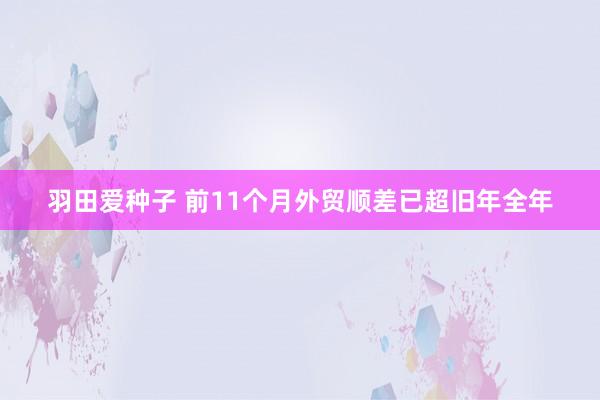 羽田爱种子 前11个月外贸顺差已超旧年全年