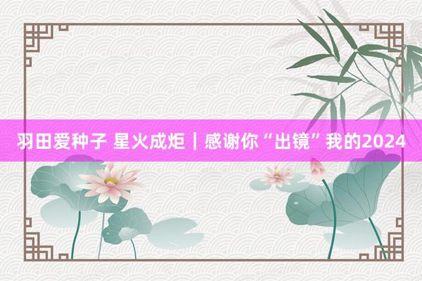 羽田爱种子 星火成炬｜感谢你“出镜”我的2024
