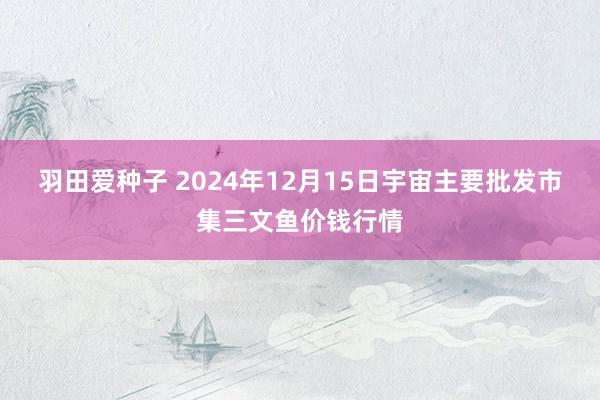 羽田爱种子 2024年12月15日宇宙主要批发市集三文鱼价钱行情
