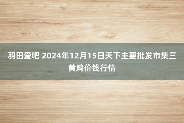 羽田爱吧 2024年12月15日天下主要批发市集三黄鸡价钱行情