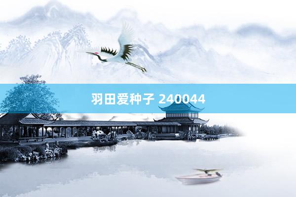 羽田爱种子 240044