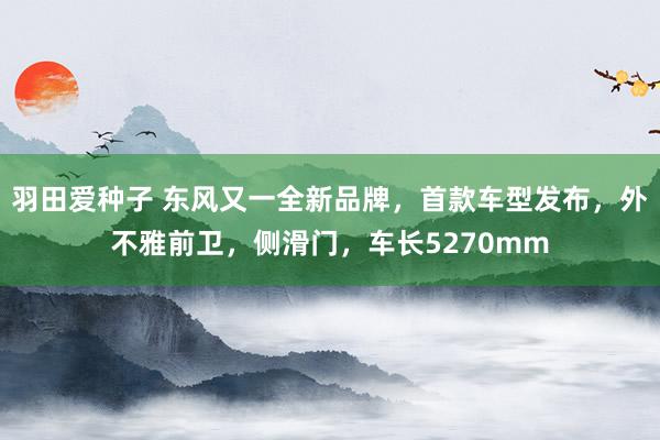 羽田爱种子 东风又一全新品牌，首款车型发布，外不雅前卫，侧滑门，车长5270mm