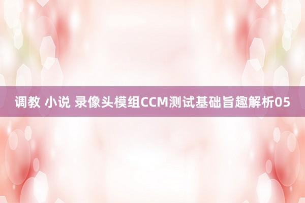 调教 小说 录像头模组CCM测试基础旨趣解析05