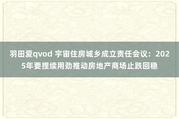 羽田爱qvod 宇宙住房城乡成立责任会议：2025年要捏续用劲推动房地产商场止跌回稳