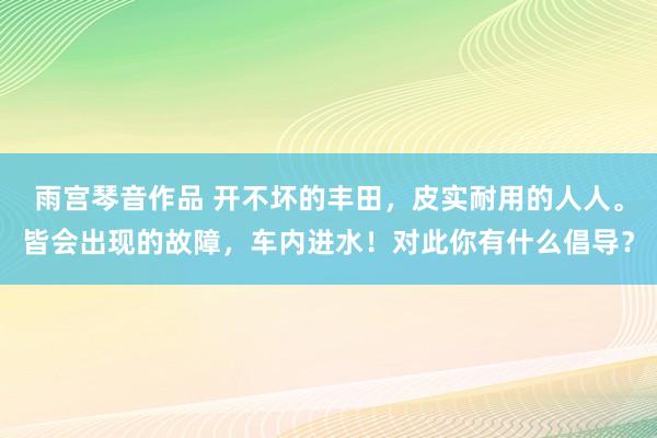 雨宫琴音作品 开不坏的丰田，皮实耐用的人人。皆会出现的故障，车内进水！对此你有什么倡导？