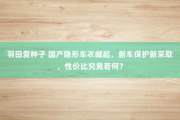 羽田爱种子 国产隐形车衣崛起，新车保护新采取，性价比究竟若何？