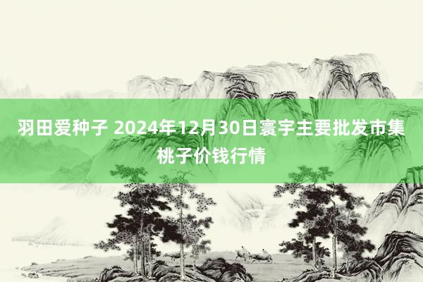 羽田爱种子 2024年12月30日寰宇主要批发市集桃子价钱行情