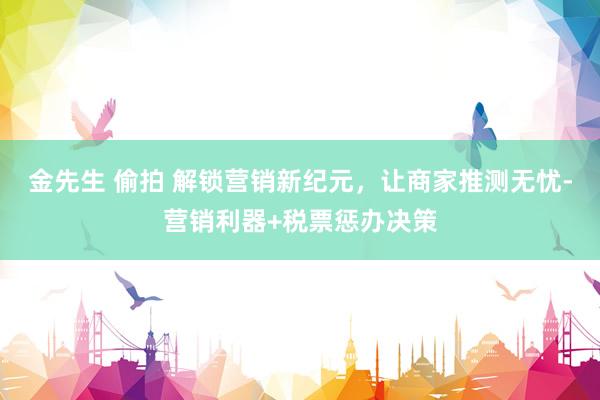 金先生 偷拍 解锁营销新纪元，让商家推测无忧-营销利器+税票惩办决策
