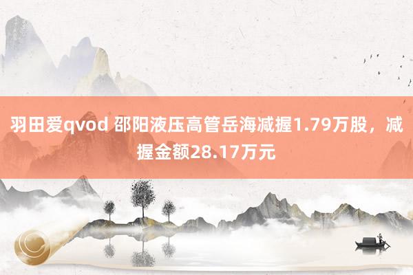 羽田爱qvod 邵阳液压高管岳海减握1.79万股，减握金额28.17万元