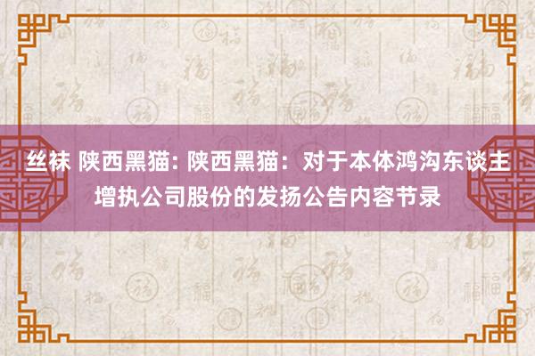 丝袜 陕西黑猫: 陕西黑猫：对于本体鸿沟东谈主增执公司股份的发扬公告内容节录