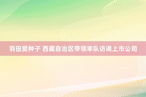 羽田爱种子 西藏自治区带领率队访谒上市公司