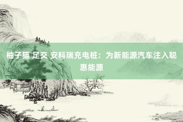 柚子猫 足交 安科瑞充电桩：为新能源汽车注入聪惠能源