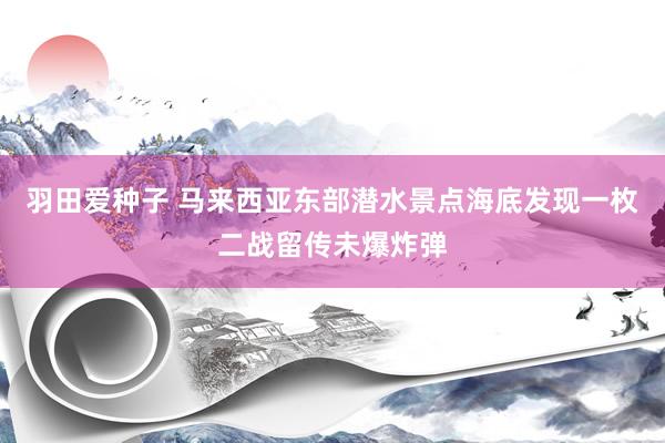 羽田爱种子 马来西亚东部潜水景点海底发现一枚二战留传未爆炸弹