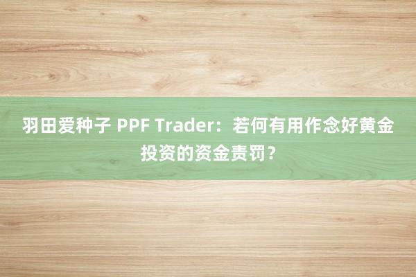 羽田爱种子 PPF Trader：若何有用作念好黄金投资的资金责罚？