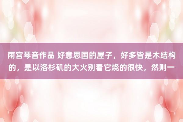 雨宫琴音作品 好意思国的屋子，好多皆是木结构的，是以洛杉矶的大火别看它烧的很快，然则一