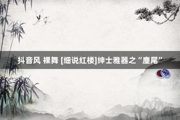 抖音风 裸舞 [细说红楼]绅士雅器之“麈尾”
