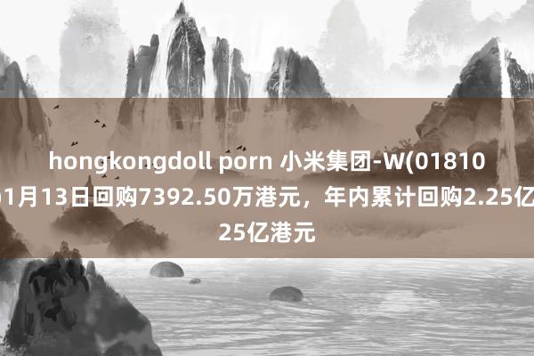 hongkongdoll porn 小米集团-W(01810.HK)1月13日回购7392.50万港元，年内累计回购2.25亿港元