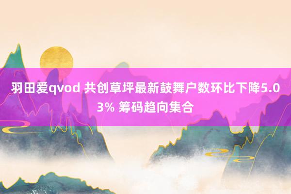 羽田爱qvod 共创草坪最新鼓舞户数环比下降5.03% 筹码趋向集合