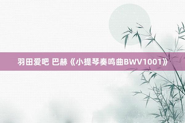 羽田爱吧 巴赫《小提琴奏鸣曲BWV1001》