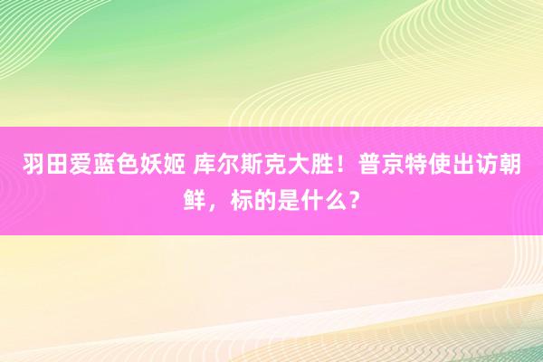羽田爱蓝色妖姬 库尔斯克大胜！普京特使出访朝鲜，标的是什么？