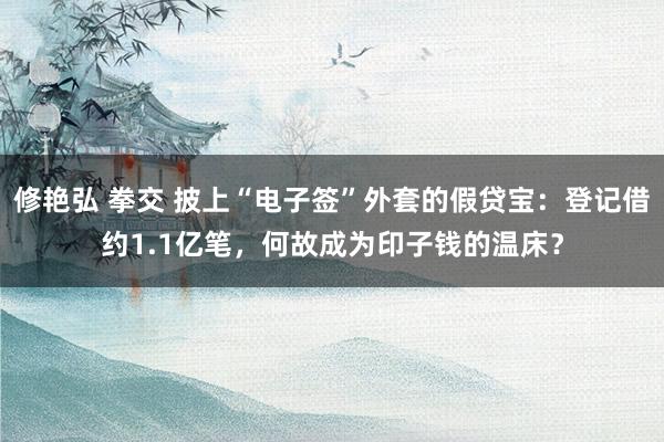 修艳弘 拳交 披上“电子签”外套的假贷宝：登记借约1.1亿笔，何故成为印子钱的温床？