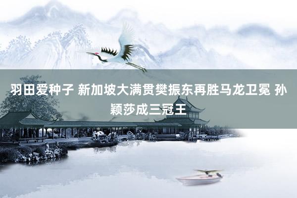 羽田爱种子 新加坡大满贯樊振东再胜马龙卫冕 孙颖莎成三冠王