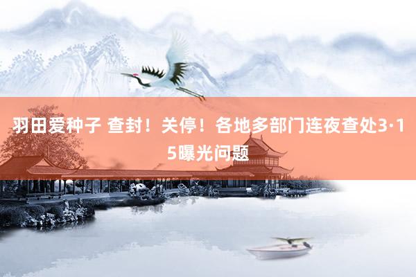 羽田爱种子 查封！关停！各地多部门连夜查处3·15曝光问题