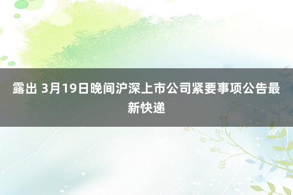露出 3月19日晚间沪深上市公司紧要事项公告最新快递