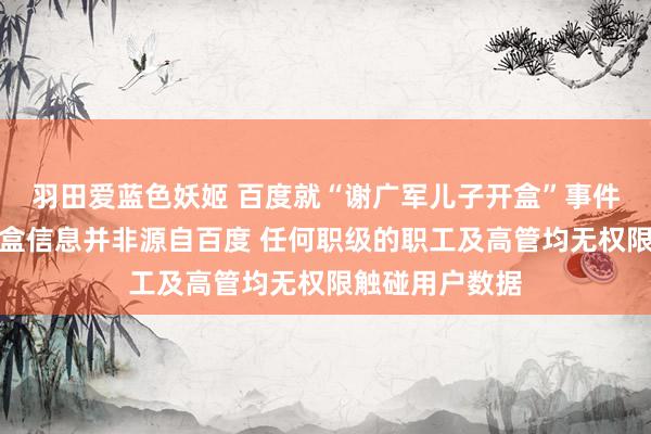 羽田爱蓝色妖姬 百度就“谢广军儿子开盒”事件发布声明：开盒信息并非源自百度 任何职级的职工及高管均无权限触碰用户数据