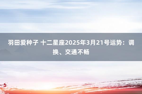 羽田爱种子 十二星座2025年3月21号运势：调换、交通不畅