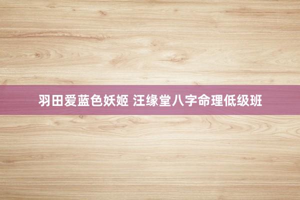 羽田爱蓝色妖姬 汪缘堂八字命理低级班