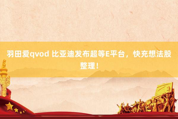 羽田爱qvod 比亚迪发布超等E平台，快充想法股整理！