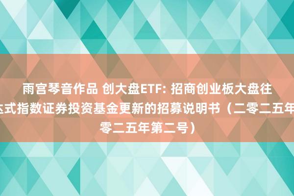 雨宫琴音作品 创大盘ETF: 招商创业板大盘往还型通达式指数证券投资基金更新的招募说明书(二零二五年第二号)