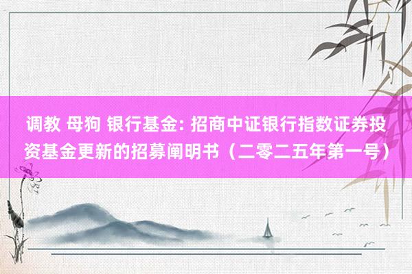调教 母狗 银行基金: 招商中证银行指数证券投资基金更新的招募阐明书（二零二五年第一号）