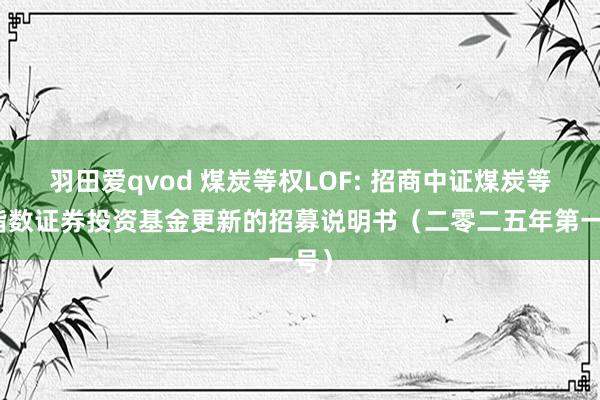 羽田爱qvod 煤炭等权LOF: 招商中证煤炭等权指数证券投资基金更新的招募说明书(二零二五年第一号)